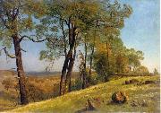 Landscape, Rockland County, California Bierstadt